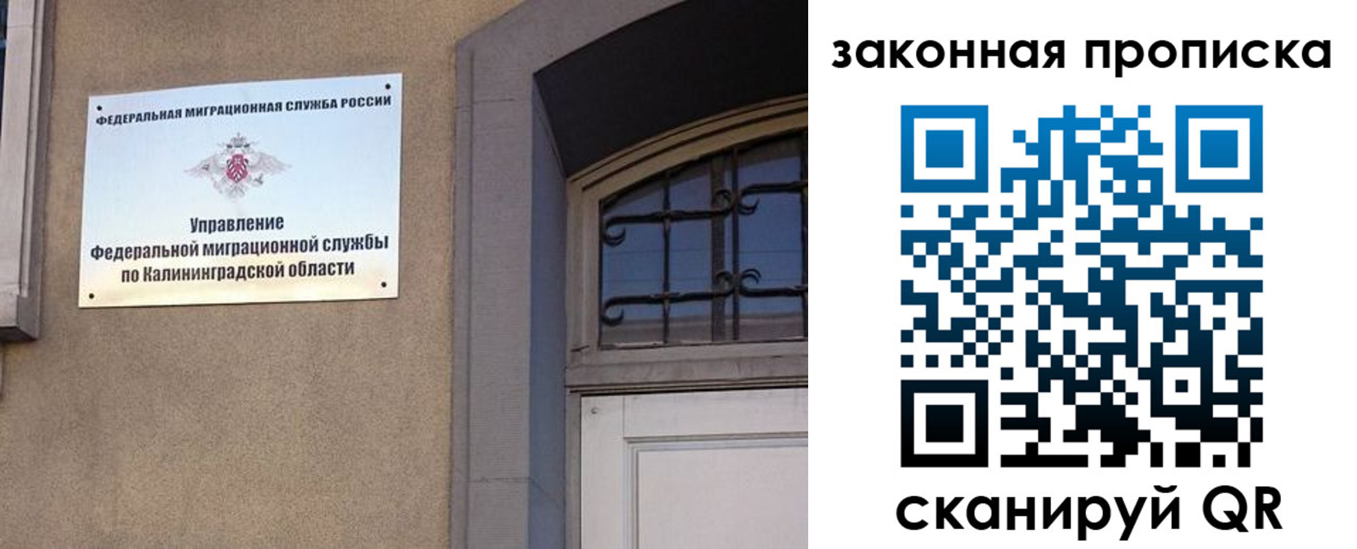 прописка для работы в Чистополье